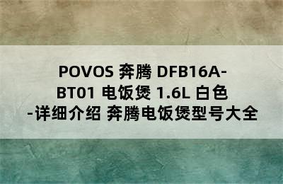 POVOS 奔腾 DFB16A-BT01 电饭煲 1.6L 白色-详细介绍 奔腾电饭煲型号大全